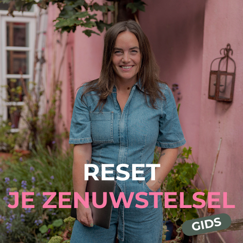 RESET JE ZENUWSTELSEL GIDS